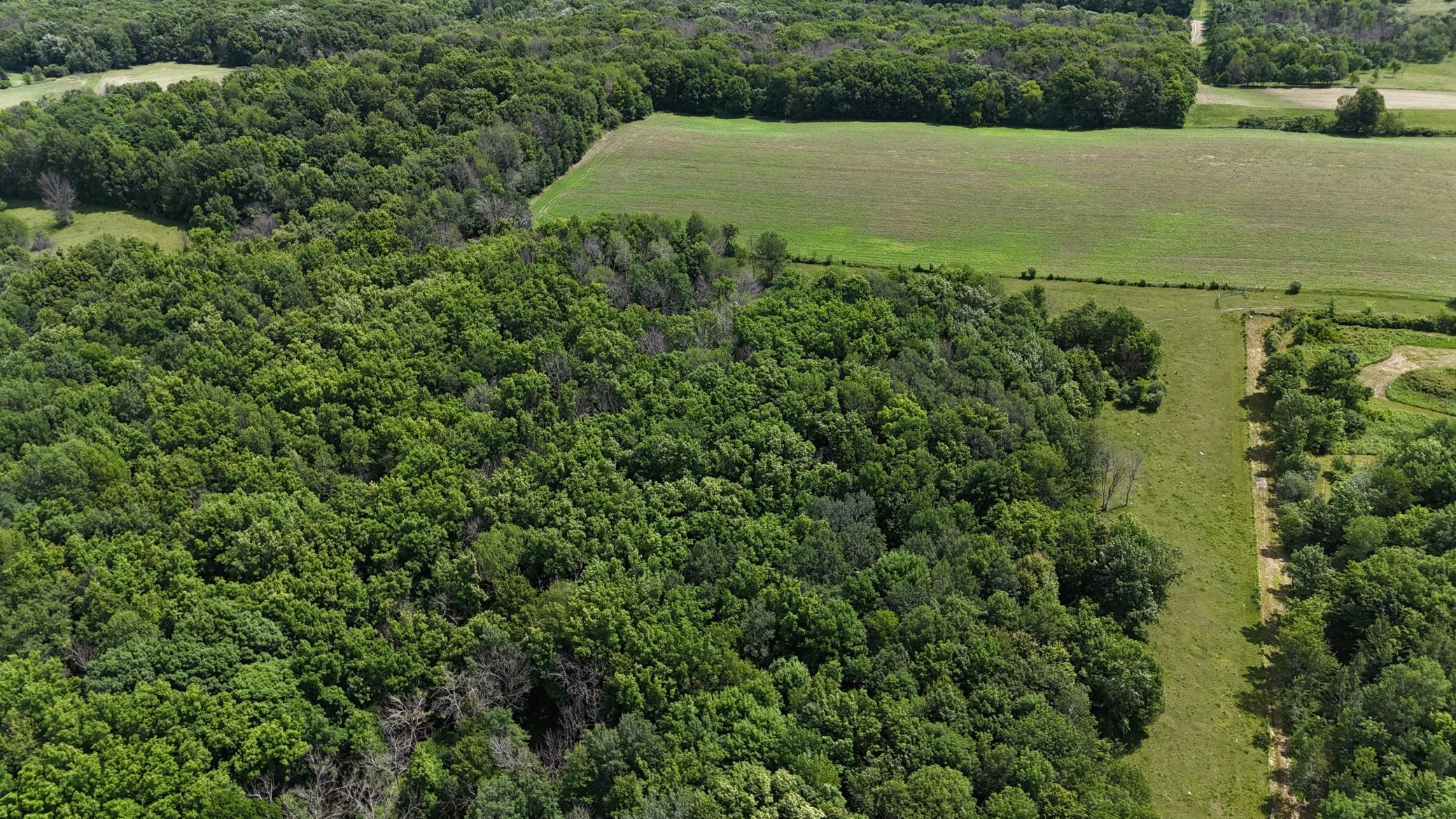 DJI_20260615120446_0486_D.JPG