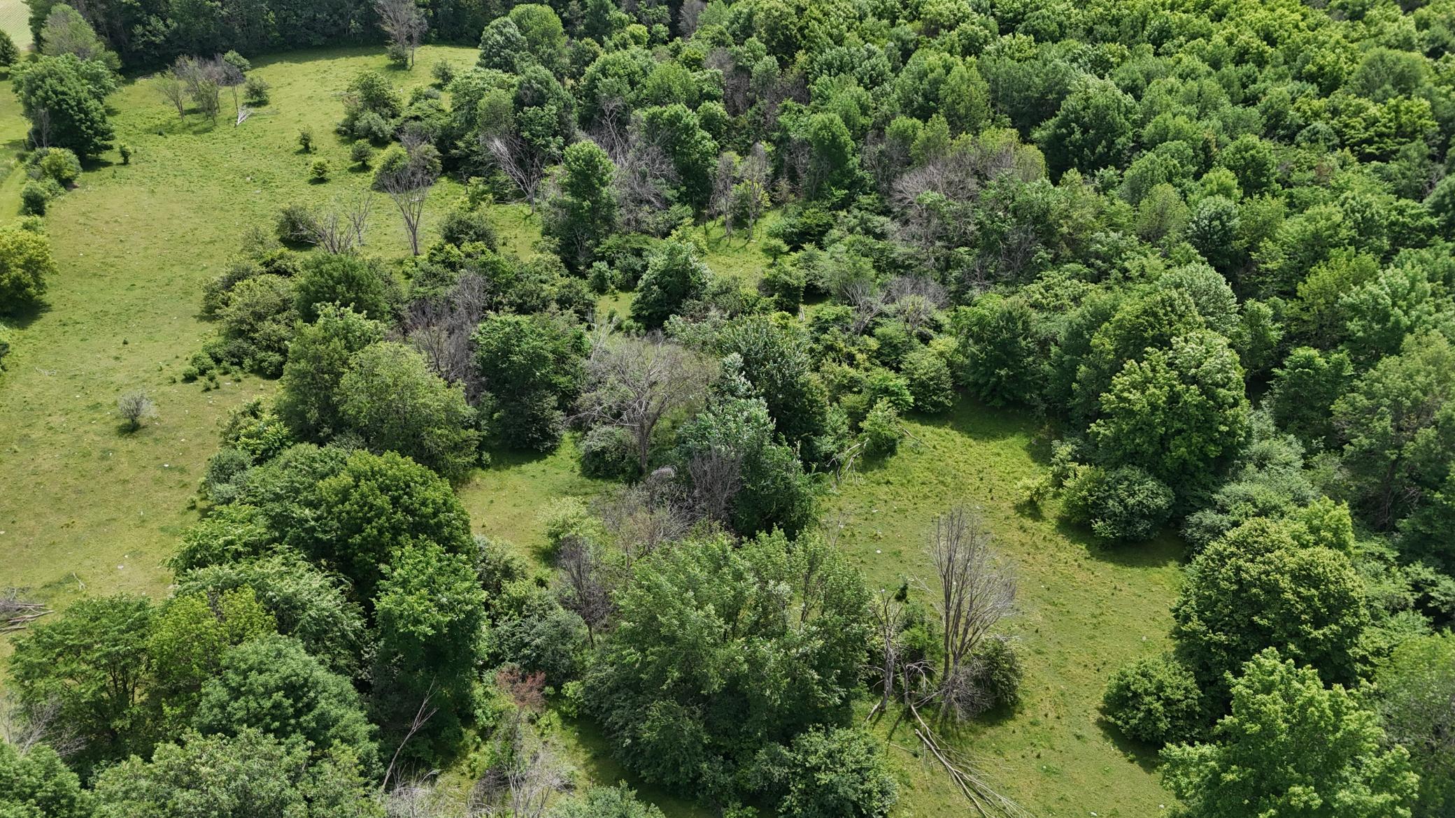 DJI_20260615120803_0494_D.JPG