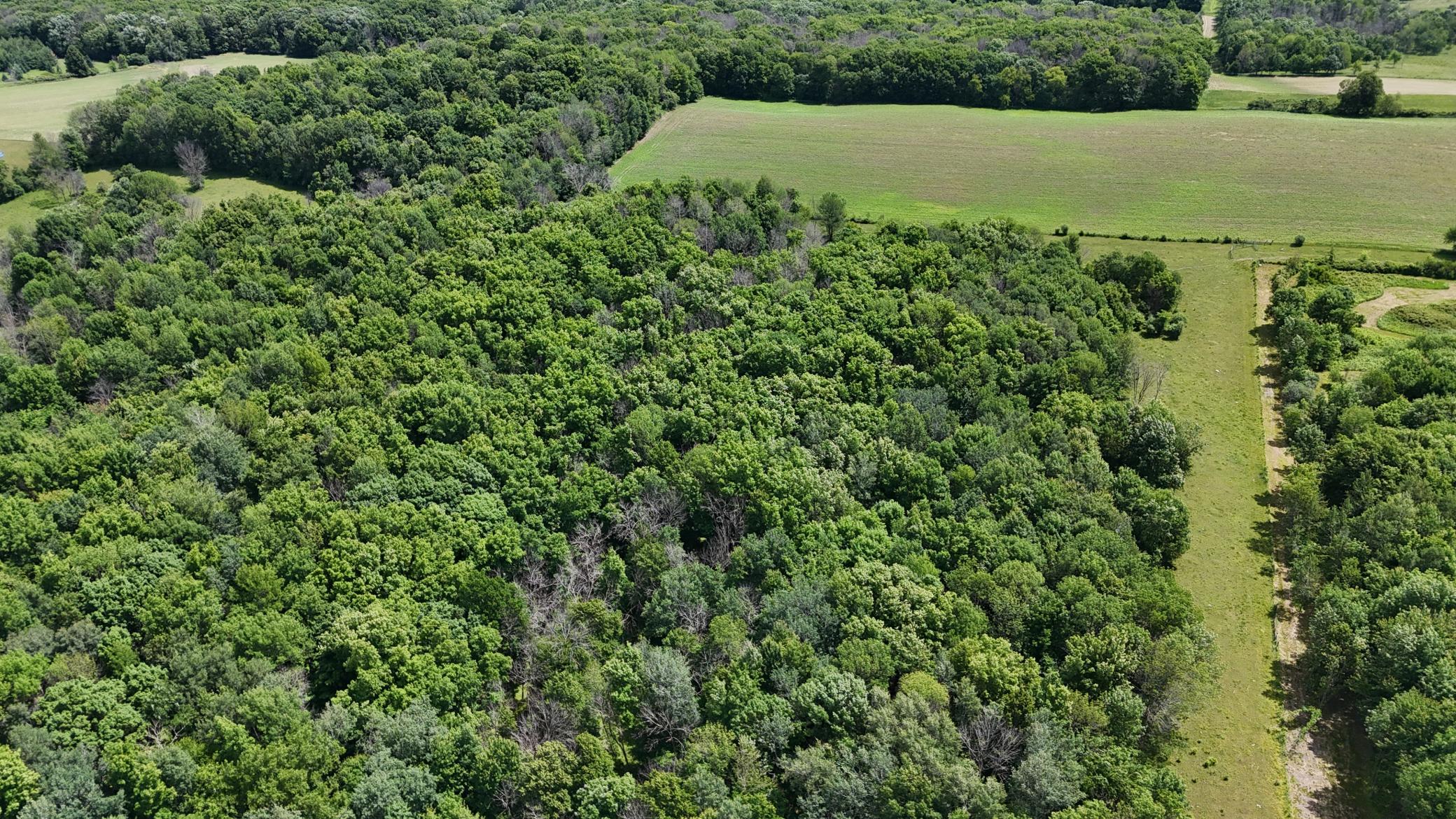 DJI_20260615120458_0487_D.JPG