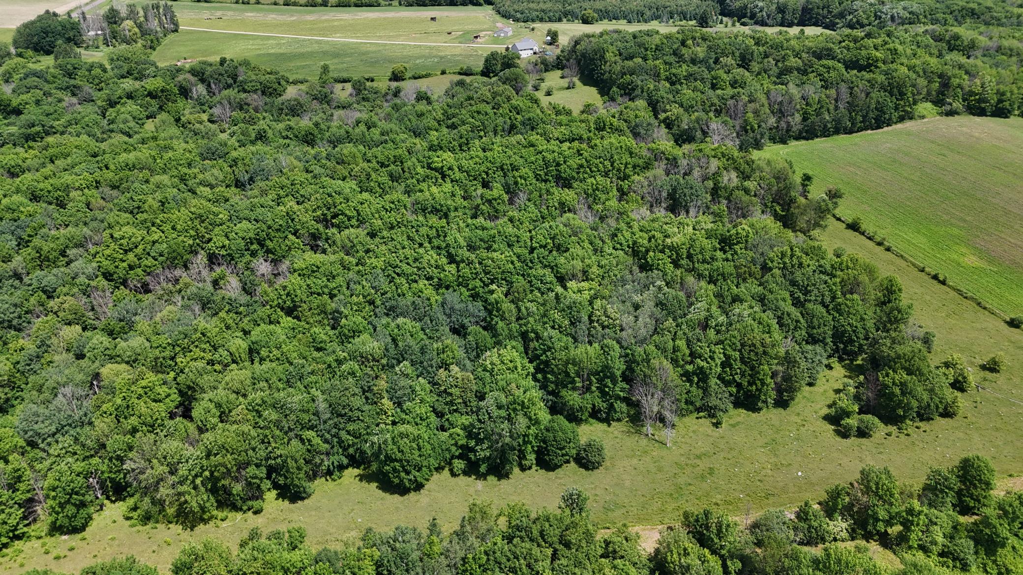 DJI_20260615120351_0482_D.JPG