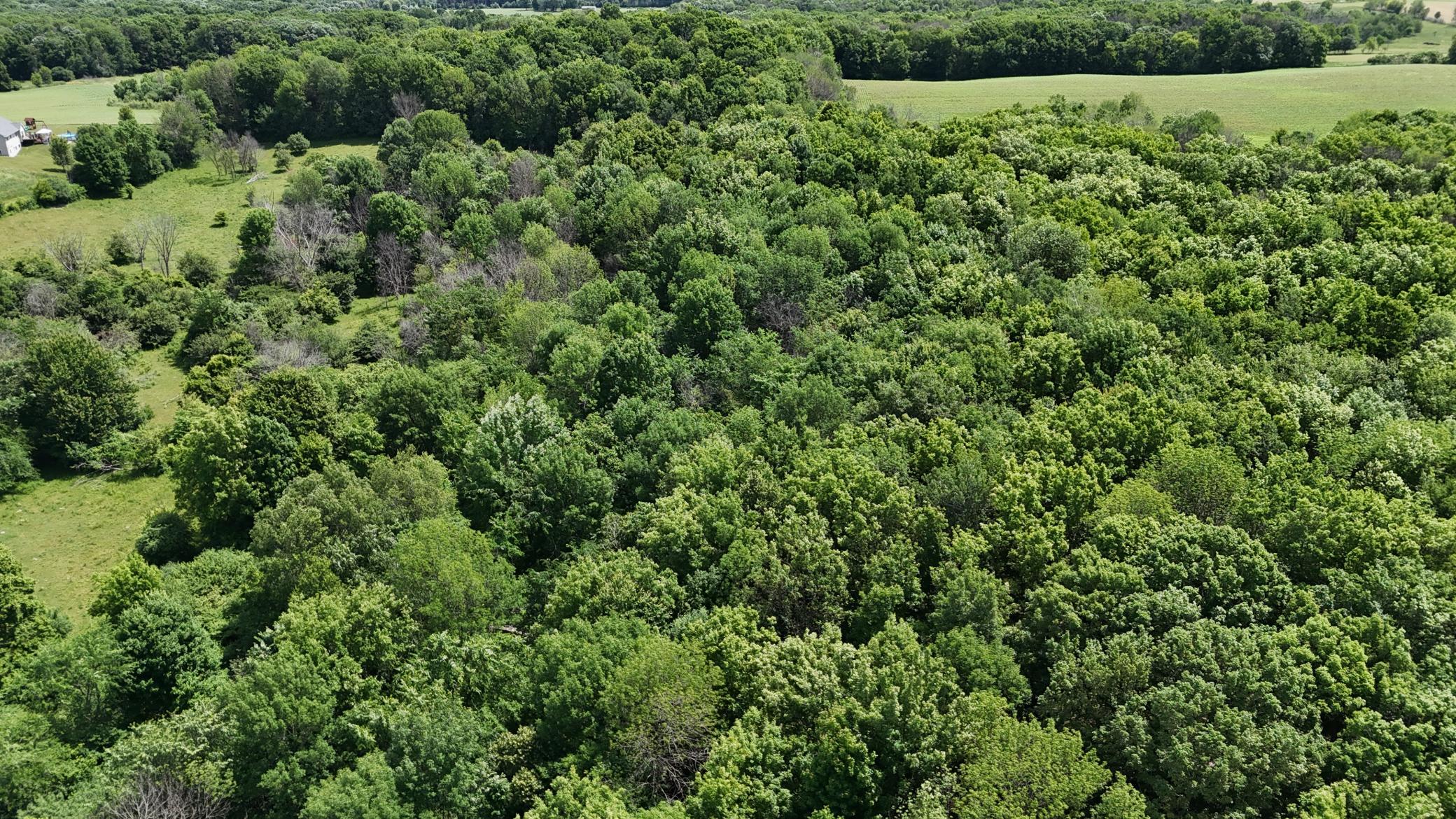 DJI_20260615121716_0509_D.JPG