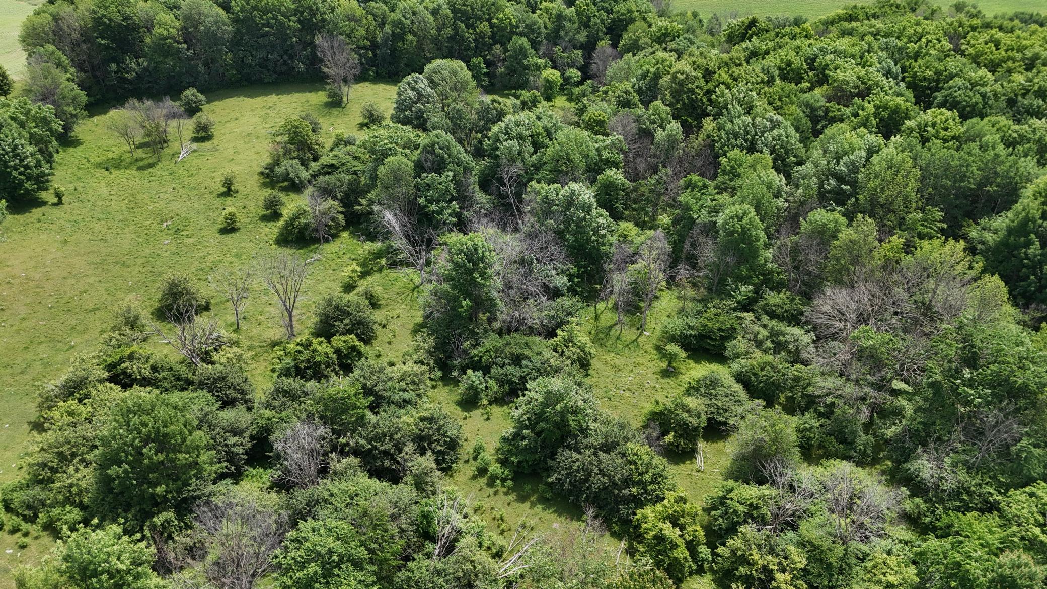 DJI_20260615120817_0495_D.JPG