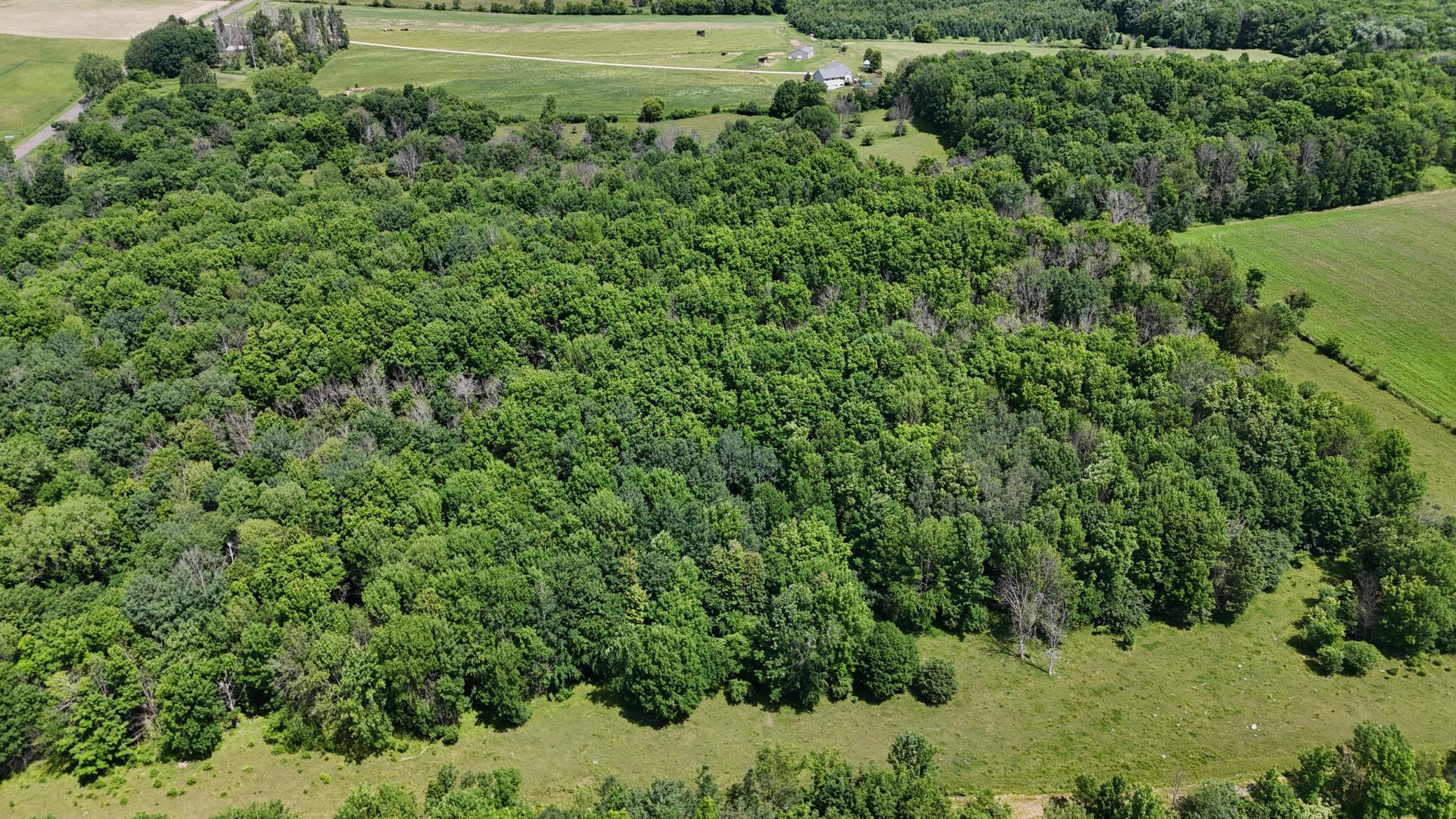 DJI_20260615120411_0483_D.JPG