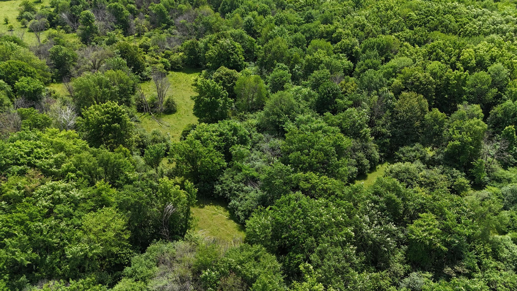 DJI_20260615121649_0508_D.JPG