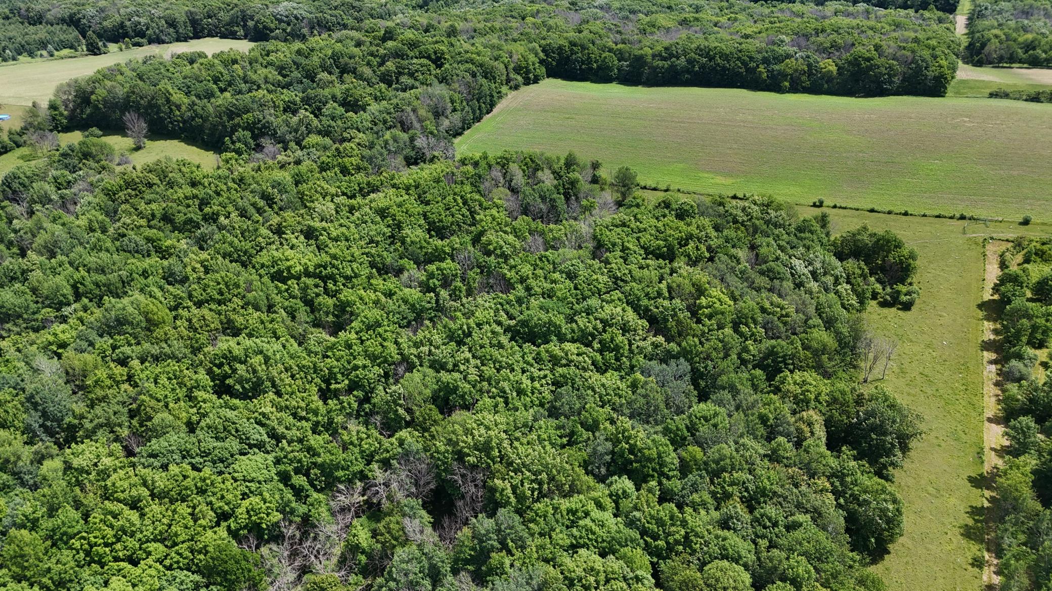 DJI_20260615120439_0485_D.JPG