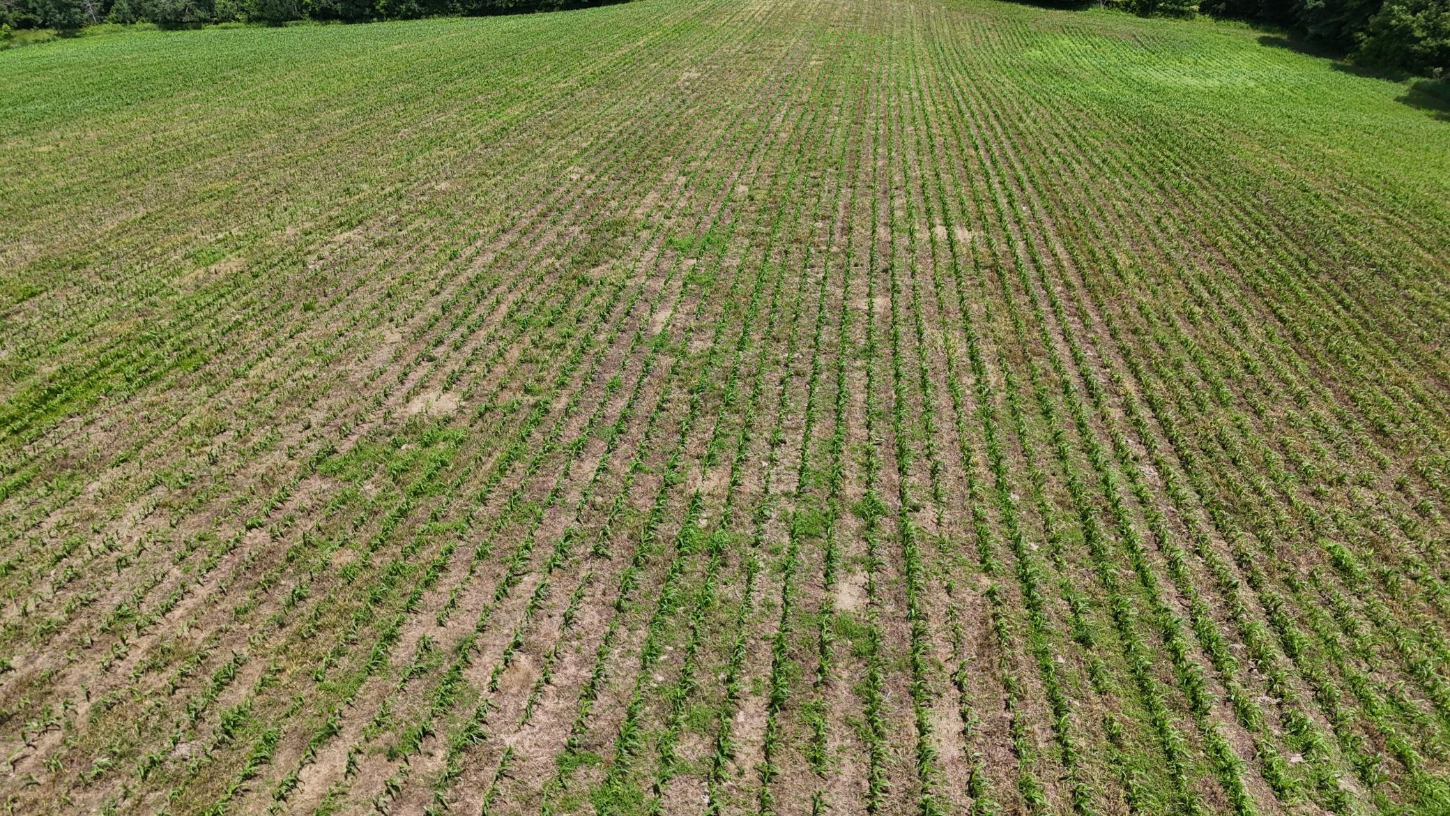 DJI_20260615121230_0504_D.JPG