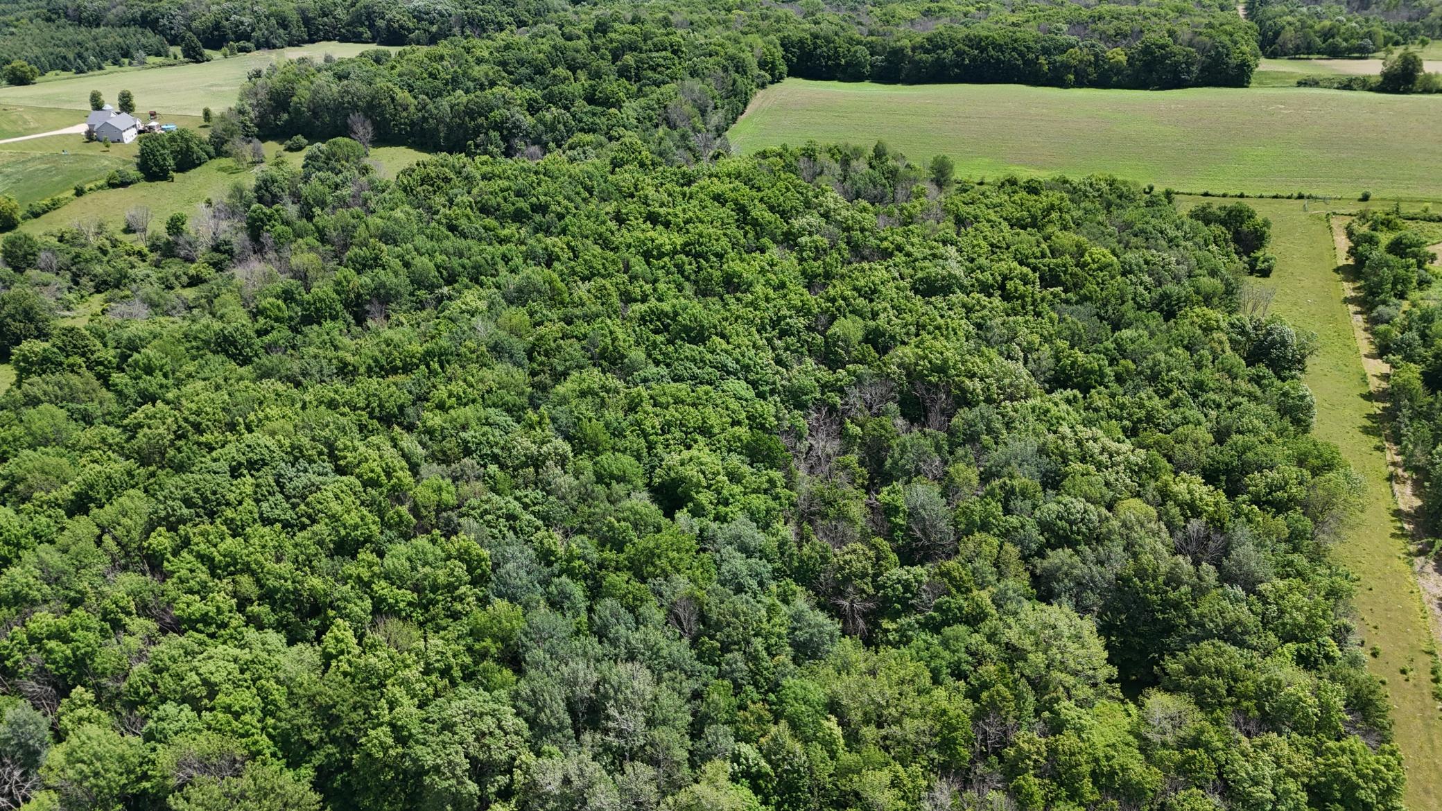 DJI_20260615120510_0488_D.JPG