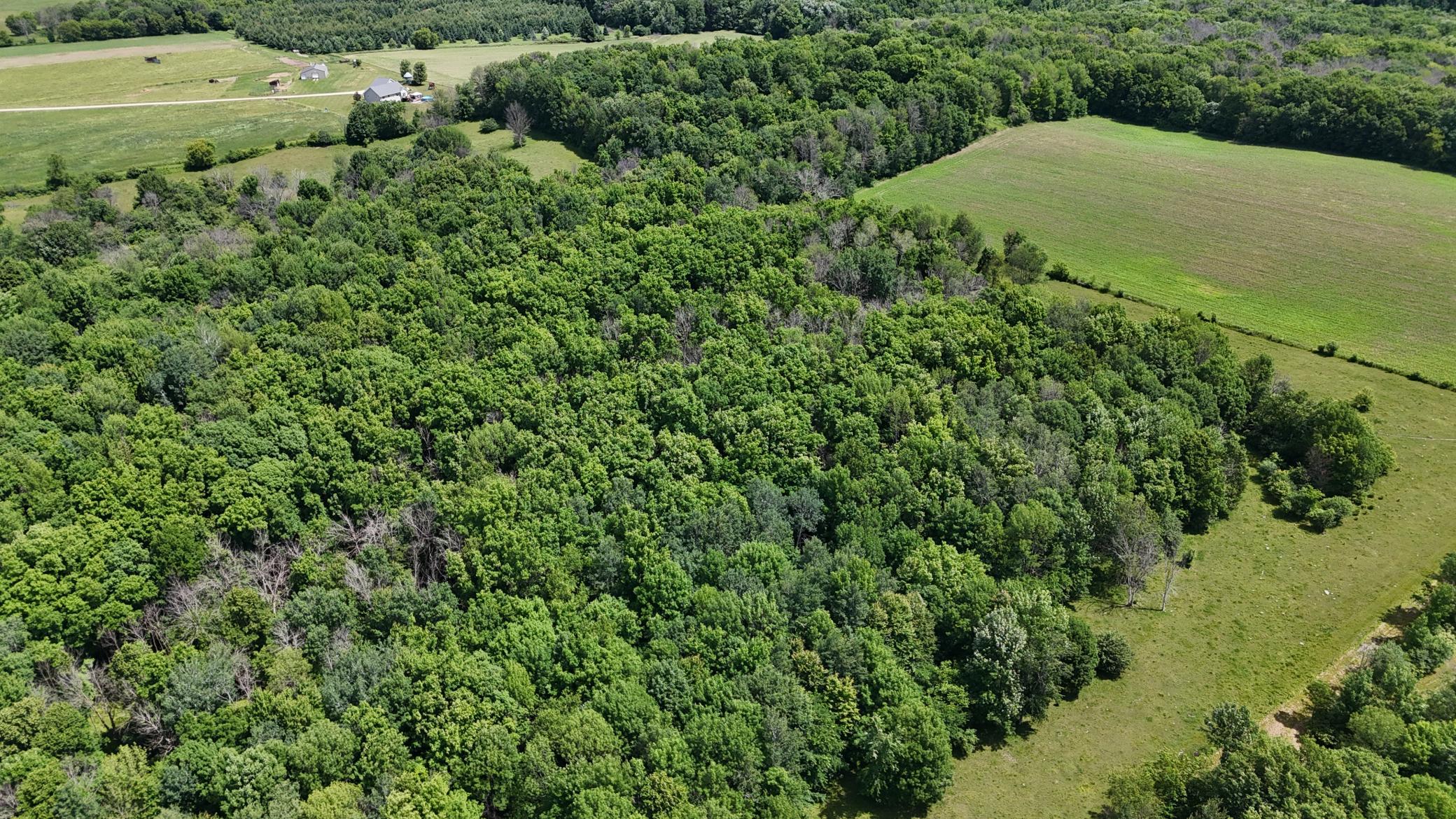 DJI_20260615120425_0484_D.JPG