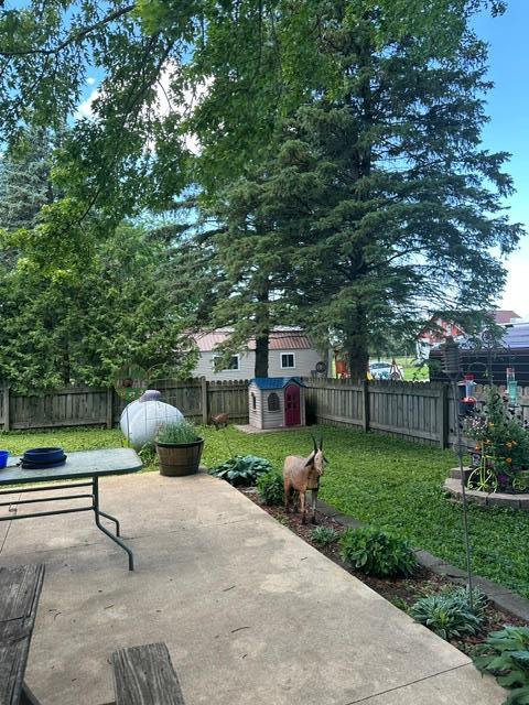 Back yard