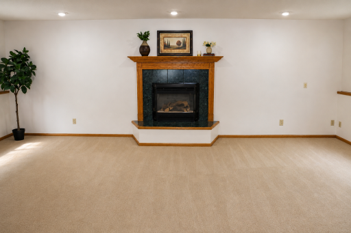 14044 Gadwall Lane, Rogers, MN 55374