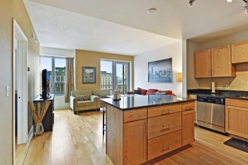 929 Portland Avenue S, 1203, Minneapolis, MN 55404