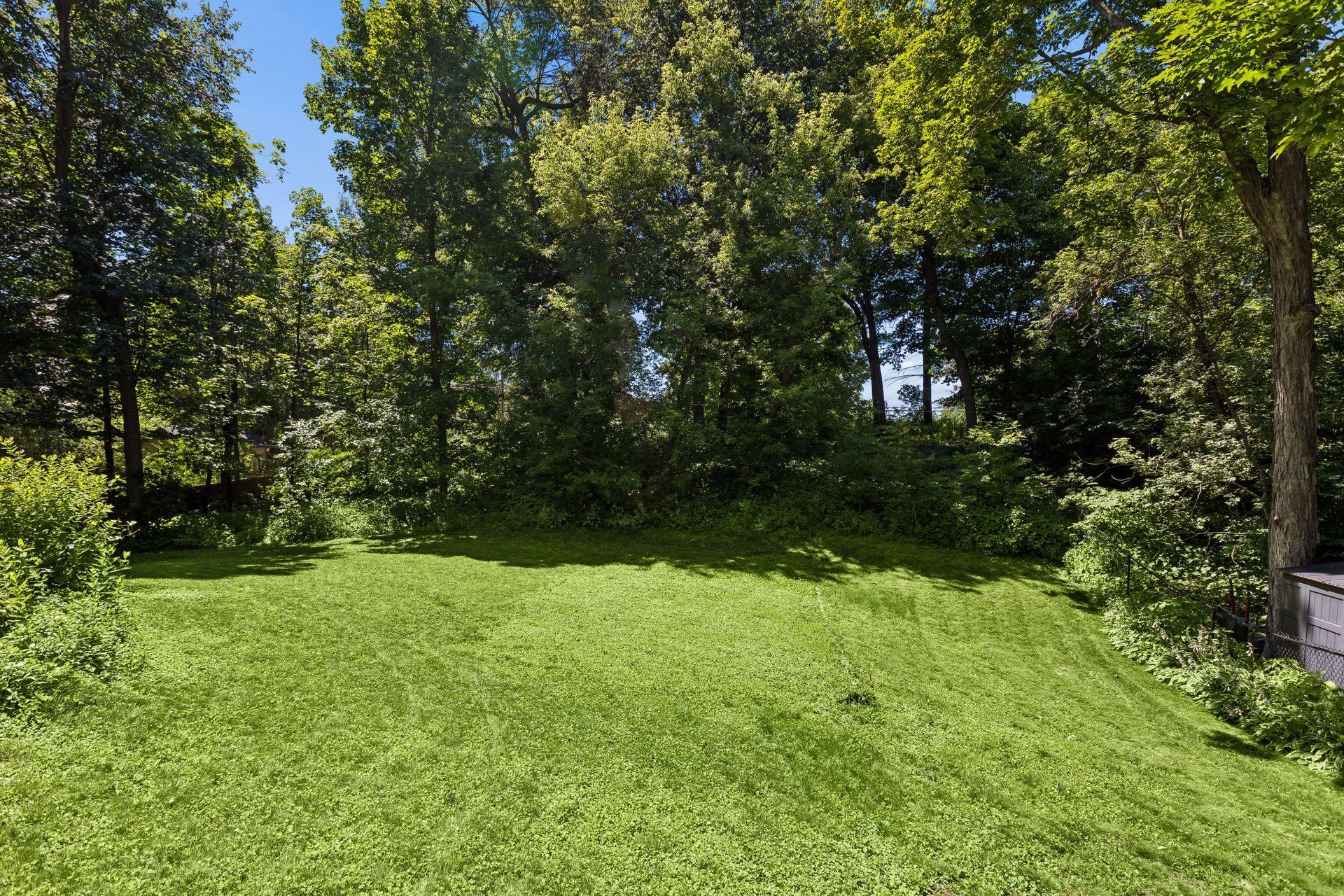Stunning fenced backyard with ample lawn space and mature trees for privacy.