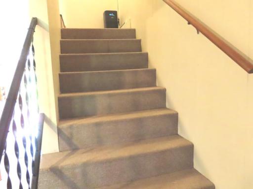 14920 stairway up.jpg
