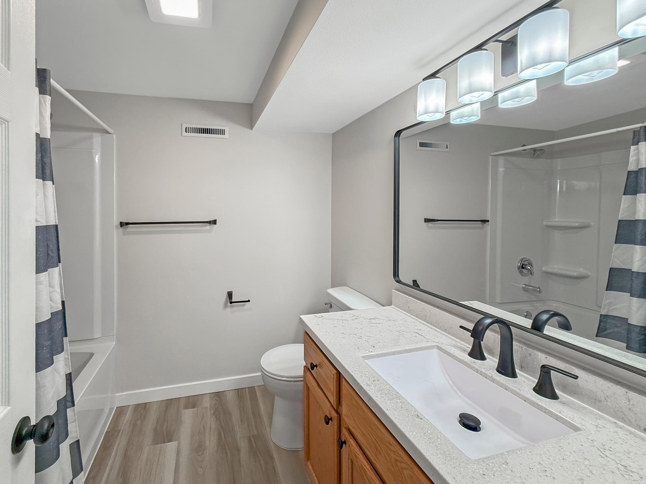 Basement Bathroom