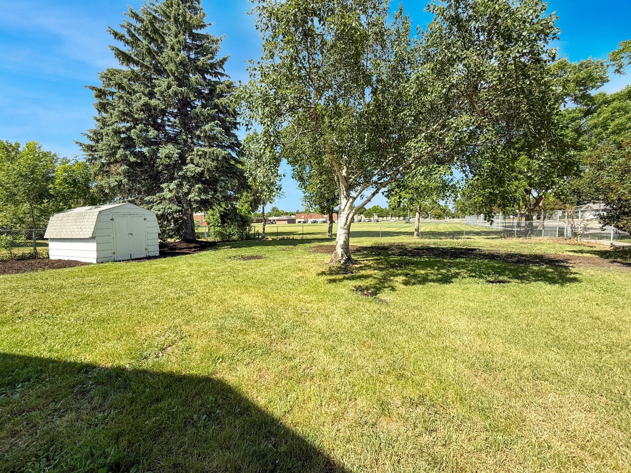 Backyard