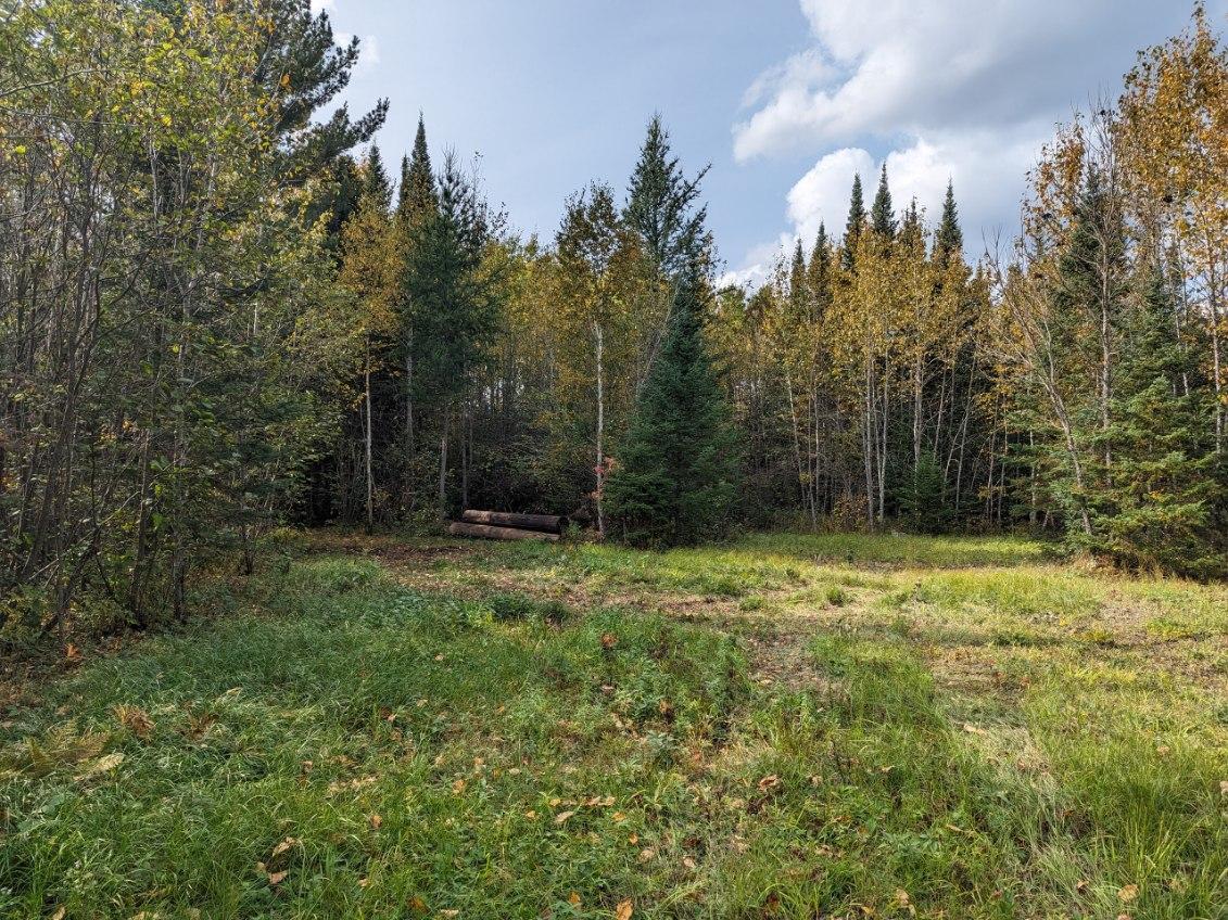TBD Deer River Line Road, Littlefork, MN 56653