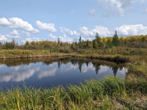 5 - Pond.jpg
