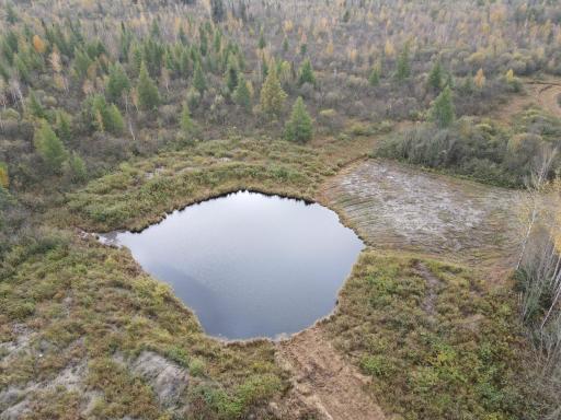 6 - Pond.JPG