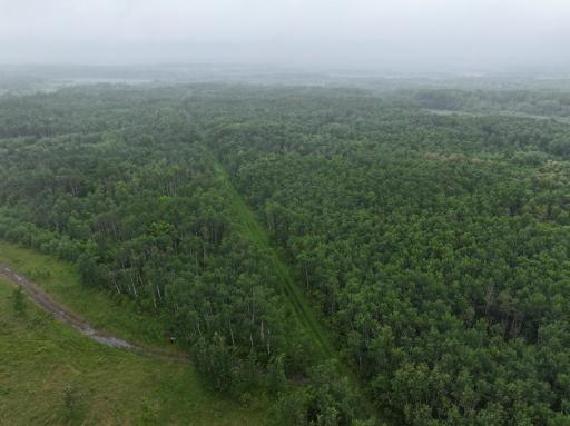 DJI_20260507160525_0229_D.JPG