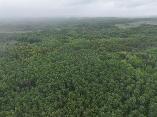 DJI_20260507160521_0228_D.JPG