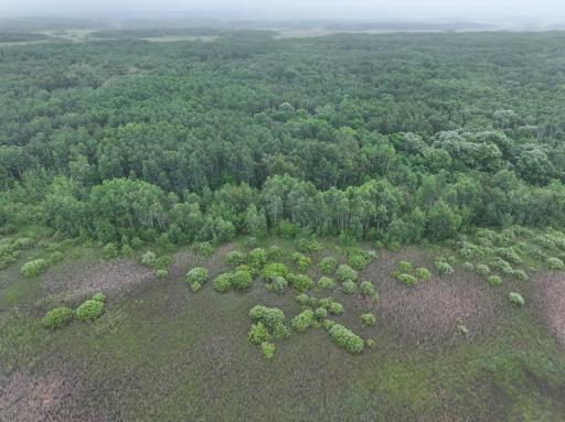 DJI_20260507160312_0223_D.JPG