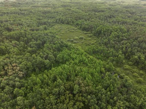 DJI_20260507160253_0222_D.JPG