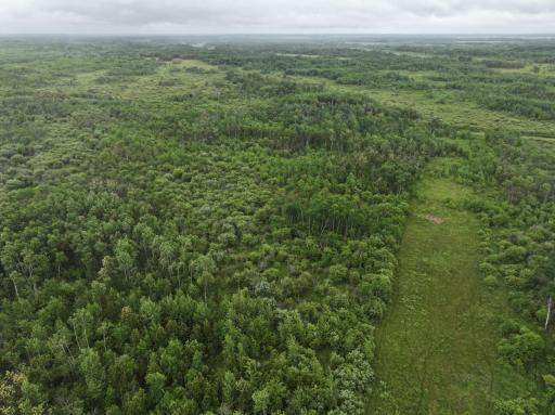 DJI_20260507160000_0207_D.JPG