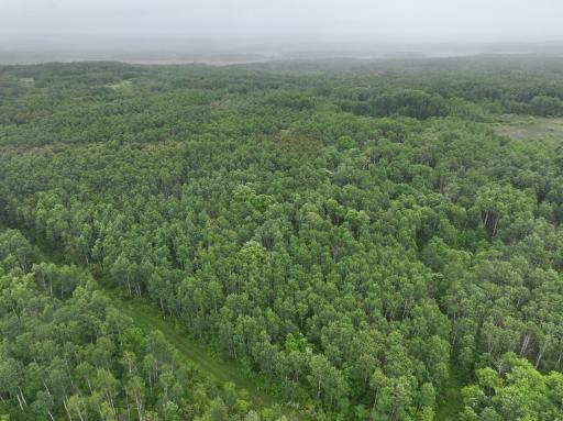 DJI_20260507160110_0212_D.JPG