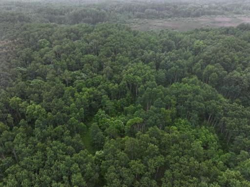 DJI_20260507160556_0230_D.JPG