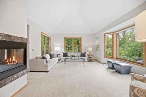 Living room, gas fireplace, and gorgeous views.