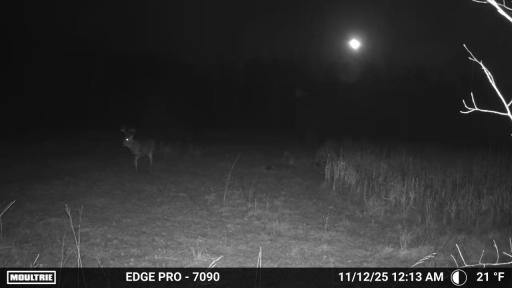 image639020106247684440.PNG