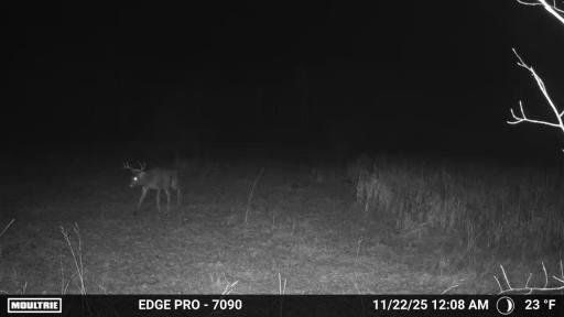 image639020104117423371.PNG