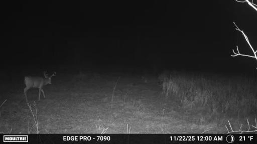 image639020103976068100.PNG