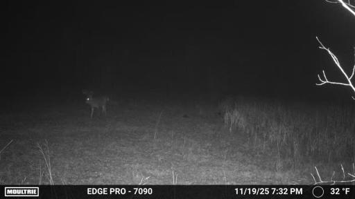 image639020105039035090.PNG