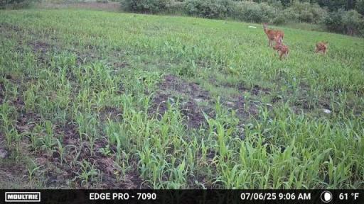 image639020102666373900.PNG