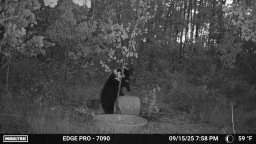 image639020099500027930.PNG