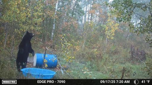image639020099087654420.PNG