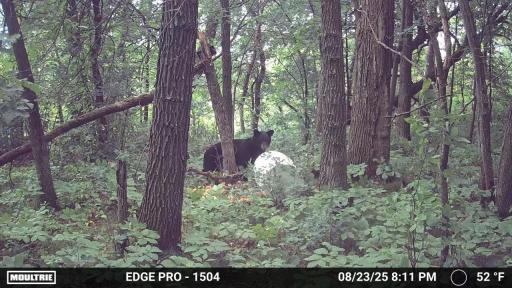 image639020101543869800.PNG