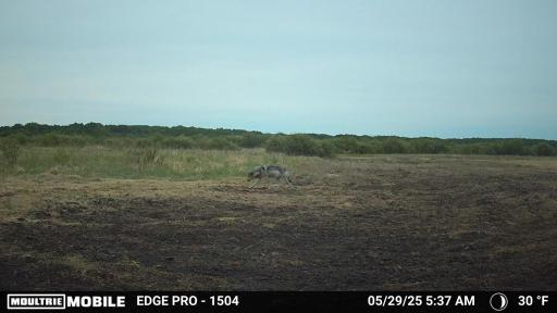 image639020103385983300.PNG