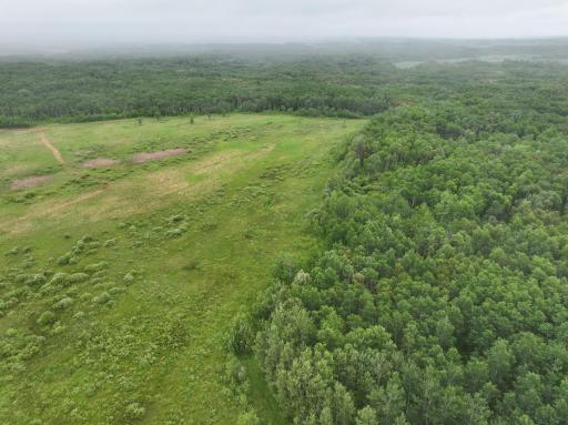DJI_20260507160017_0209_D.JPG