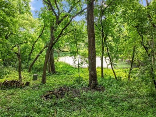 5429 Vining Point Road, Minnetonka, MN 55345