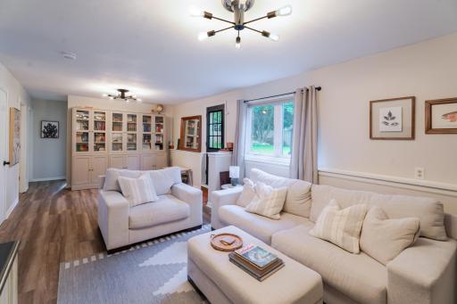 Downstairs Family Room