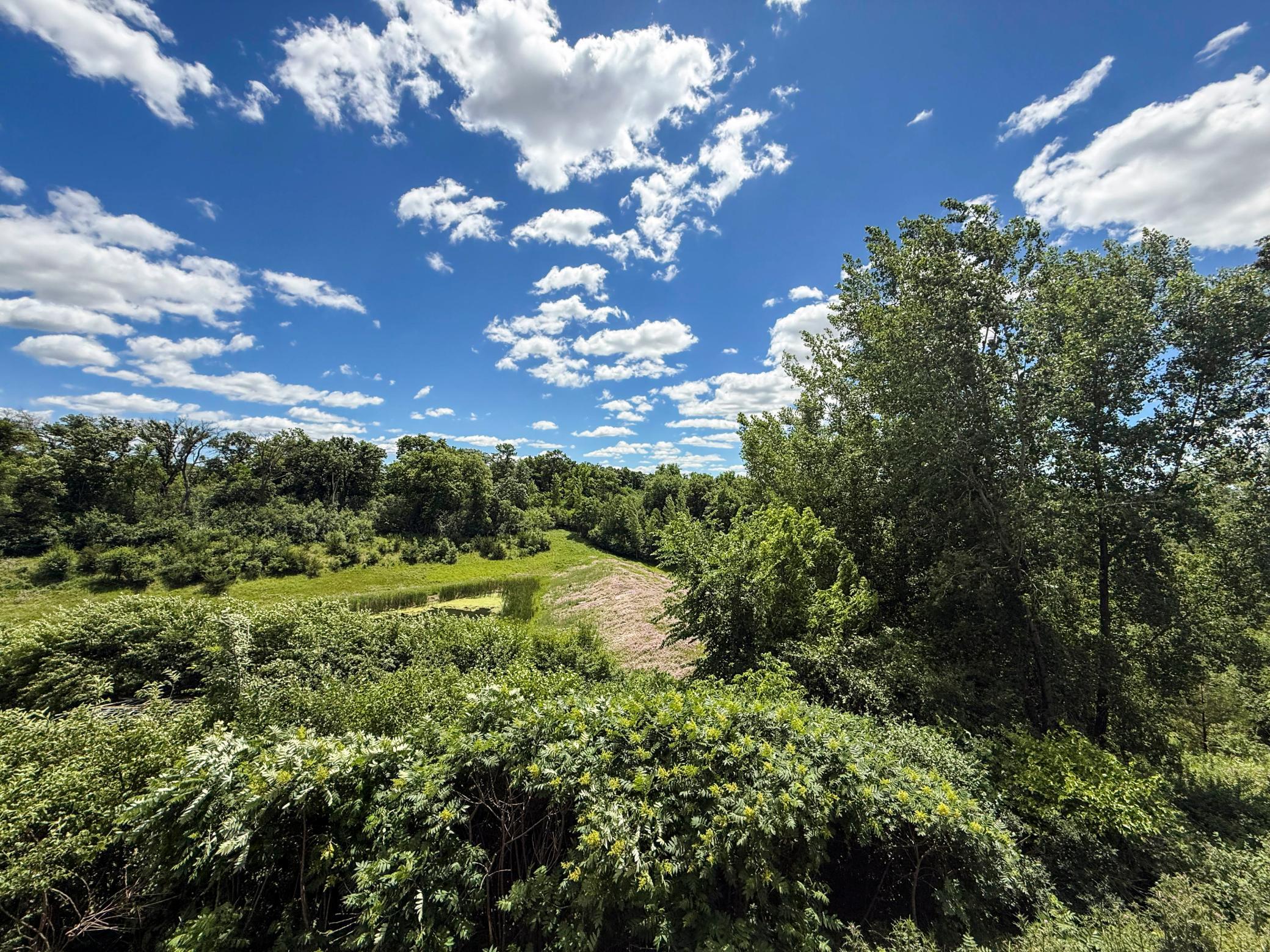 32. Home-for-sale-Rochester-MN.jpg