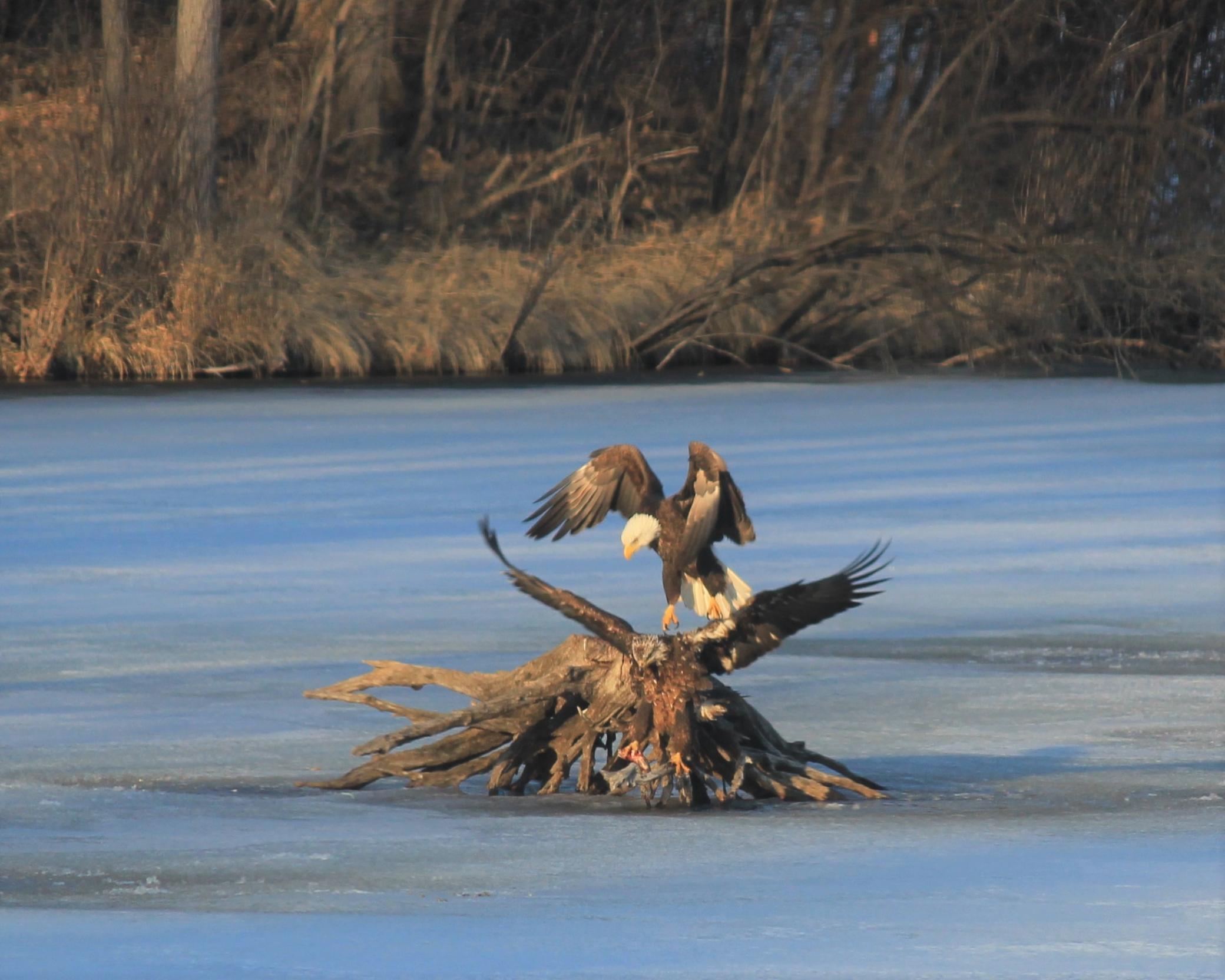 Incredible nature sights right out your door