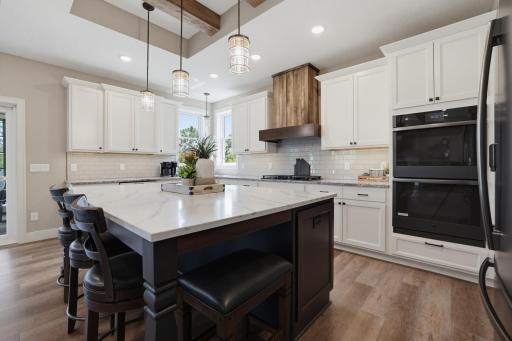 977 Pheasant Run S, Circle Pines, MN 55014