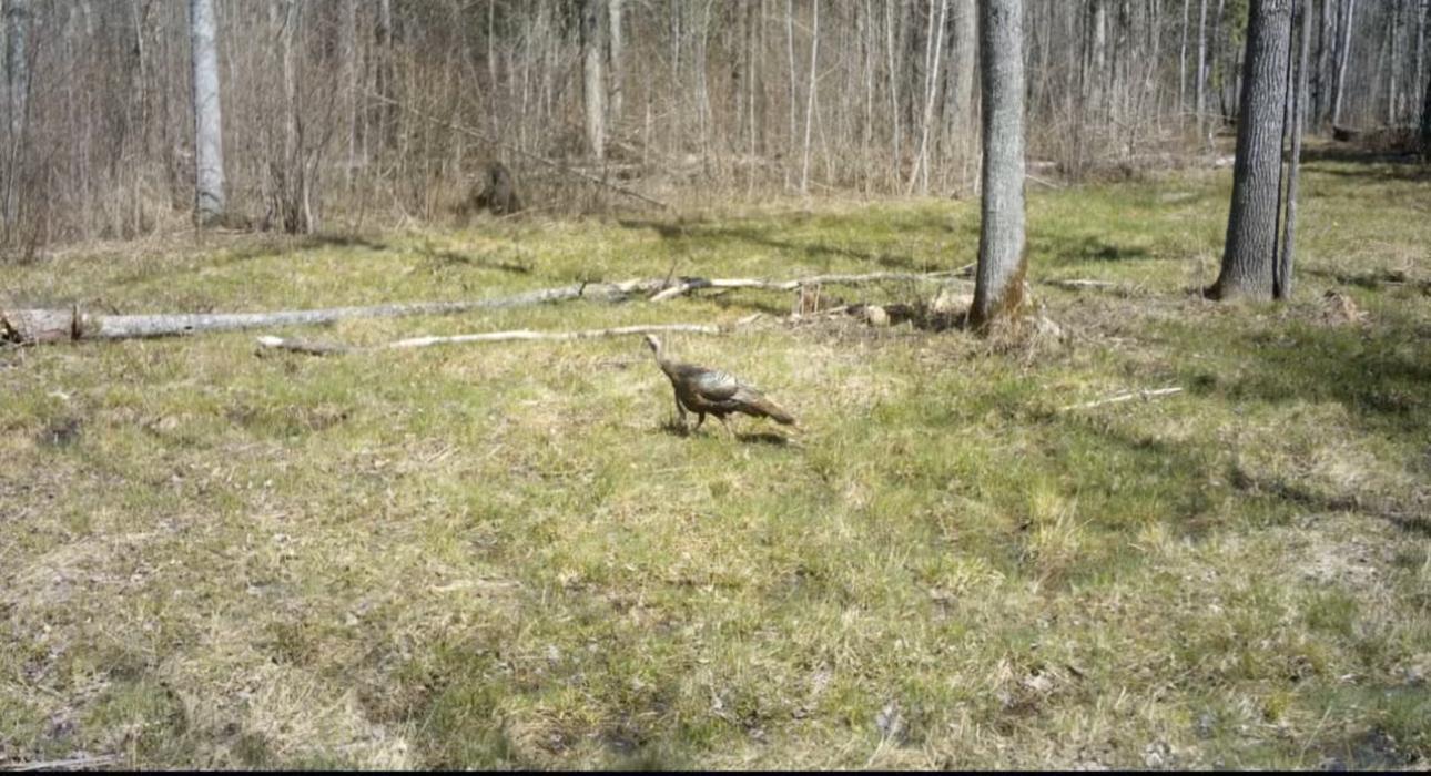 Photo 26