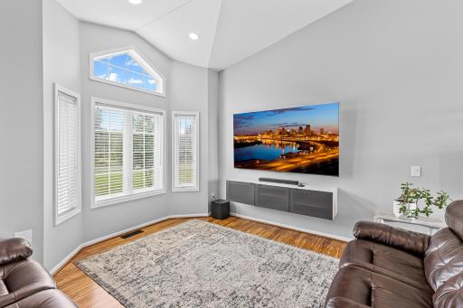 Unique vaulted ceiling
