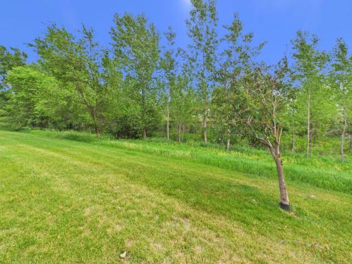 565 William Street, Big Lake, MN 55309