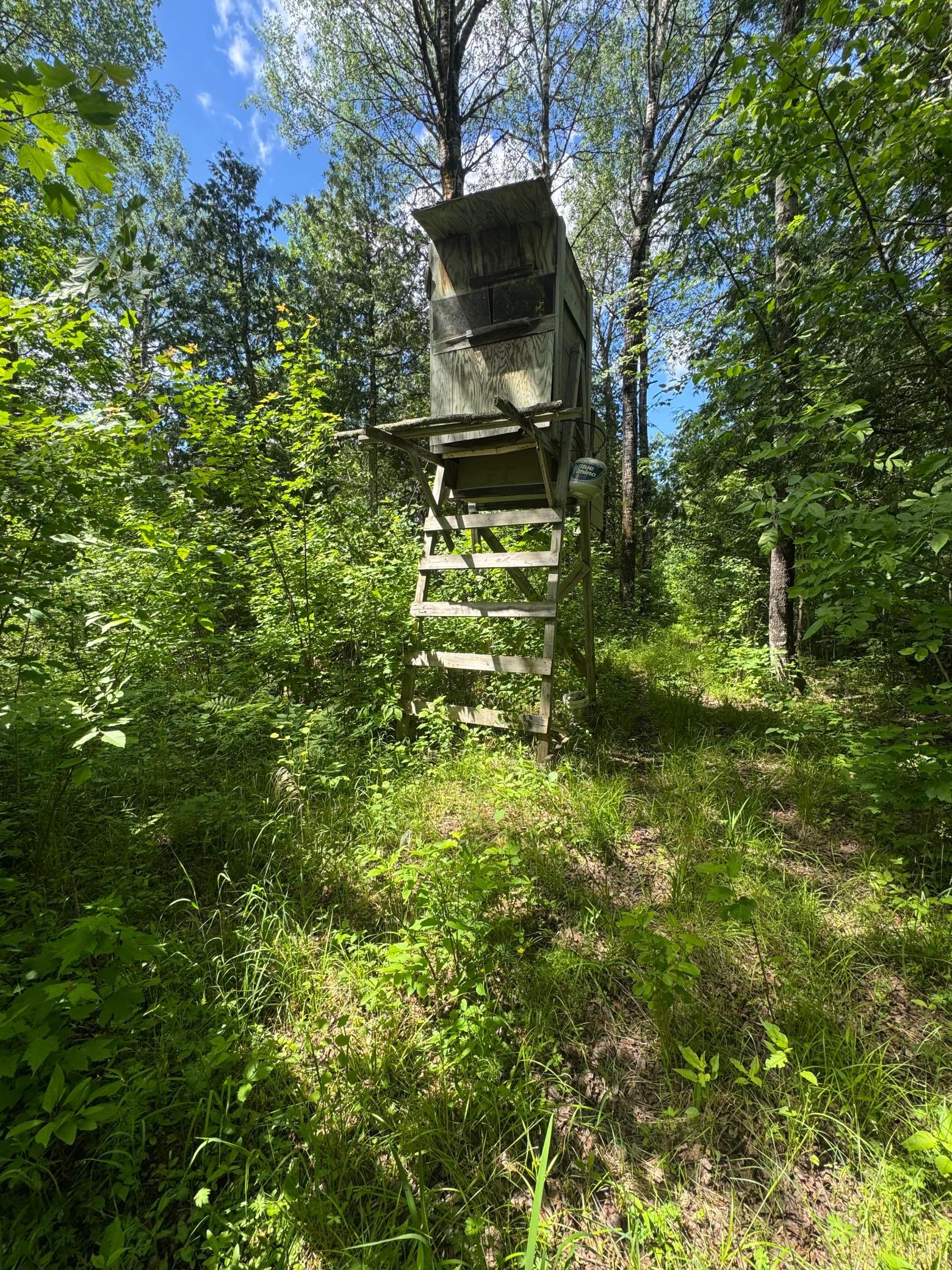 Deer Stand