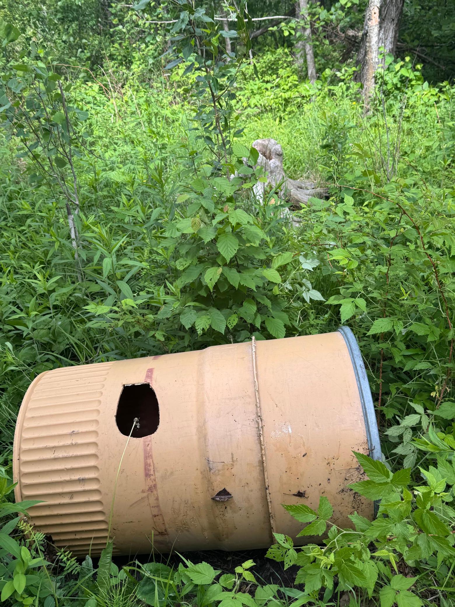 Bear Barrel